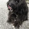 Ernestyip - @ernestyip - TikTok