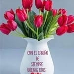 Ernestina Carrillo - @ernestina_carrillo - Instagram