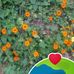 Ernestina Jimenez - Facebook