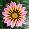 ernestinarendon22 - @ernestinarendon22 - TikTok