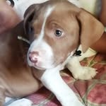 Ernestina Solis - @solissolistina72 - Instagram