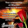 Ernestina Leon Vidal - @ernestina.leon.vi - TikTok