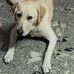 Ernestyne Booker - Facebook