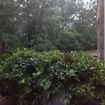 Ernestine Braxton - @braxton.ernestine - Instagram