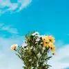 ernestine.carson0 - @ernestine.carson0 - TikTok
