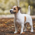 Diane_Ernestine_Earle_Ross - @diane_jrt - Instagram