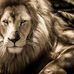 Ernestine Easley - Facebook
