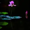 haleywernestinei - @haleywernestinei - TikTok