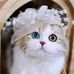 Ernestine Maier - Facebook