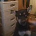 Ernestine Marr - Facebook