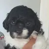 Ernestine Martinez - @ernestine.martine - TikTok