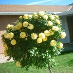 Ernestine Frieson Murphy - @ernestinemurphy821 - Instagram
