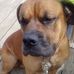 Ernestine Murphy - Facebook
