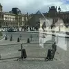 ernestinenicholso0 - @hj35822 - TikTok