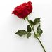 Ernestine Thomas - Facebook