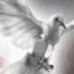 Ernestine Stokes Walters - Facebook