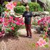 Ernestine Ware - Facebook