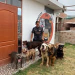 Ernesto Abanto - @ernesto_abanto_ipince - Instagram