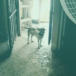 jose ernesto aban hau - @jise807 - Instagram