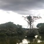 Ernesto Agudelo - @ernesto.agudelo.357 - Instagram