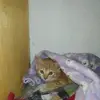 Ernesto Agudelo - @ernestoagudelo766 - TikTok