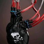 Ernesto Aleman - Facebook