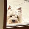 ernesto_andres00 - @ernesto_andres00 - TikTok