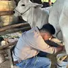 Ernesto Argaez - @ernestoargae27 - TikTok
