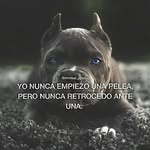 ernesto austria - @austriaernestoguzman - Instagram