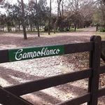 Ernesto Blanco - @campoblanco09 - Instagram