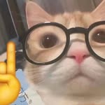 Ernesto Cabral - @ecab0118 - Instagram