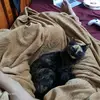camiloernesto - @camiloernesto - TikTok