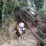 Ernesto Cerda Magdalena - @ernestocerdam - Instagram