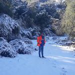 Ernesto Cerda Moscoso - @cerdamoscoso - Instagram