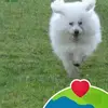 Ernesto Cobos - @ernesto.cobos - TikTok