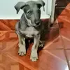 Ernesto Coca - @ernestococa2 - TikTok