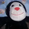 Maxwellbro - @ernestococa14 - TikTok