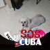 Ernesto Compagine - Facebook