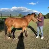 Ernesto Conte - @ernesto.conte0 - TikTok