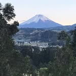 Ernesto Davalos - @ernesto.davalos.92 - Instagram