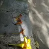 Ernesto Espitia335 - @ernestoespitia3352 - TikTok