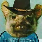 Ernesto ferrera - @ernestoferrer270 - Instagram