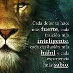 Ernesto Gerardo Alfonso Sosa - @ernestoalfonsososa - Instagram