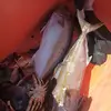 ernestogerman458 - @ernestogerman458 - TikTok
