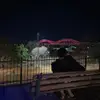 Ernesto Gonzalez - @ernestogonzalez6643 - TikTok