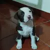 Guillermo Ernesto - @guillermo.ernesto56 - TikTok