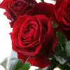 Ernesto James - @james102354 - TikTok