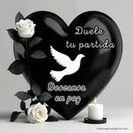 Ernesto Javier - @rosasernestojaviermejia - Instagram
