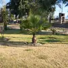 dulce Juarez - @ernestojuarez558 - TikTok