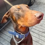 Ernesto Juárez - @ernestojuarez__ - Instagram